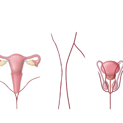 Vaginizm - funksional cinsi patologiyaların müalicəsi