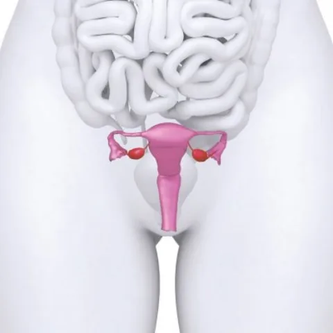 Uşaqlıq sallanmasının vaginal üsulla müalicəsi