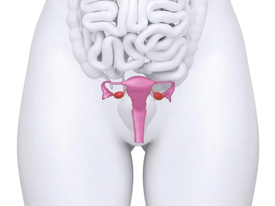 Uşaqlıq sallanmasının vaginal üsulla müalicəsi